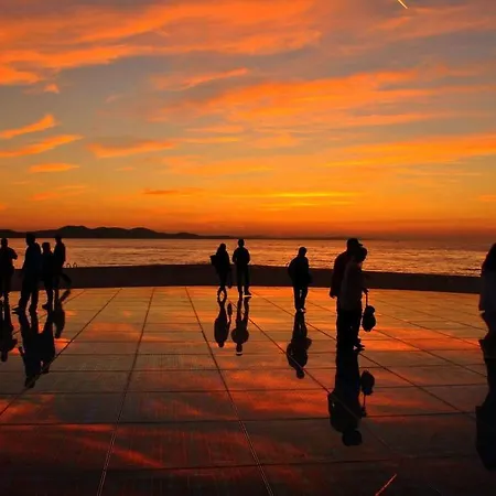 Ostrea * Zadar